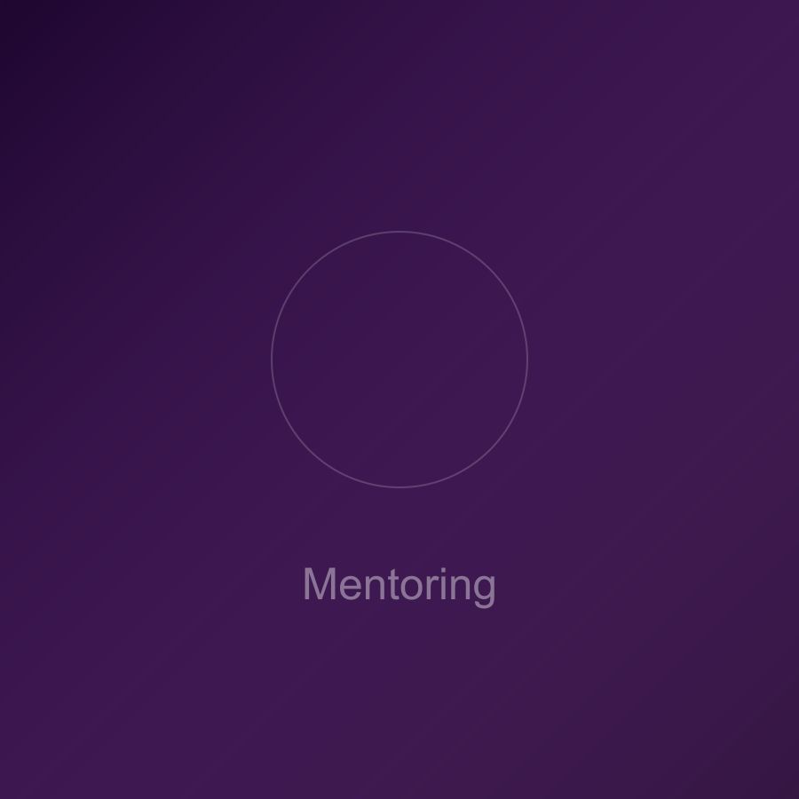 1:1 mentoring